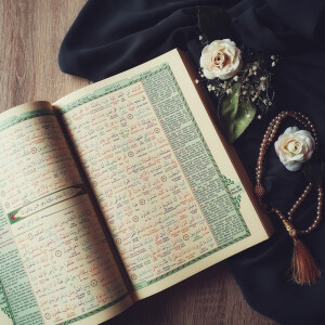 Farbkodierter Quran mit Wort zu Wort Übersetzung Arabisch-Deutsch