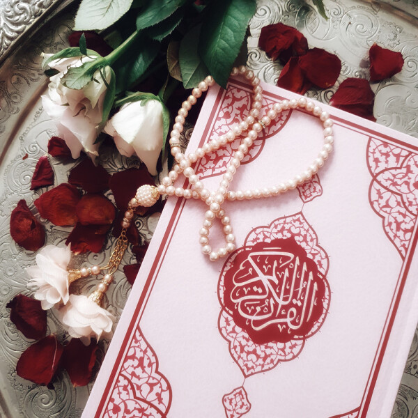 Quran in Rosa, Schriftart Hafs, Orta Boy 24,5 x 16,5 cm